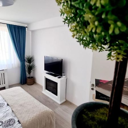 Cozy Studio Appartamento Braşov Esterno foto