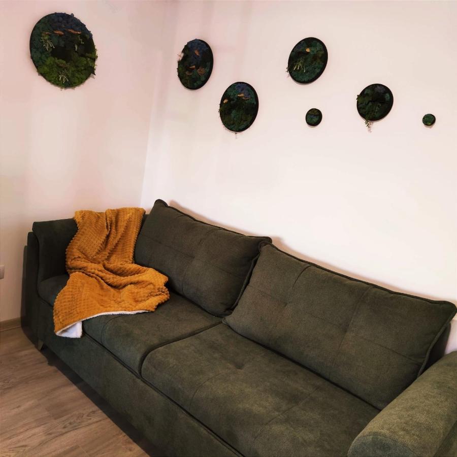 Cozy Studio Appartamento Braşov Esterno foto