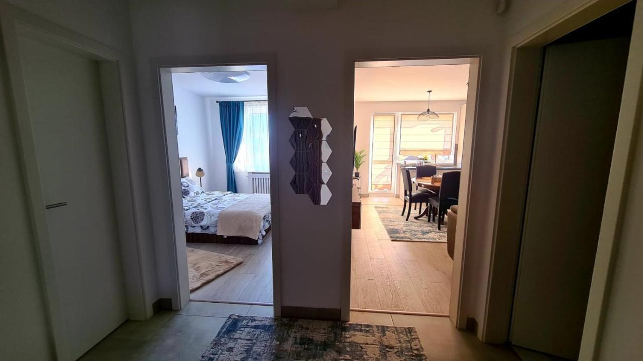 Cozy Studio Appartamento Braşov Esterno foto