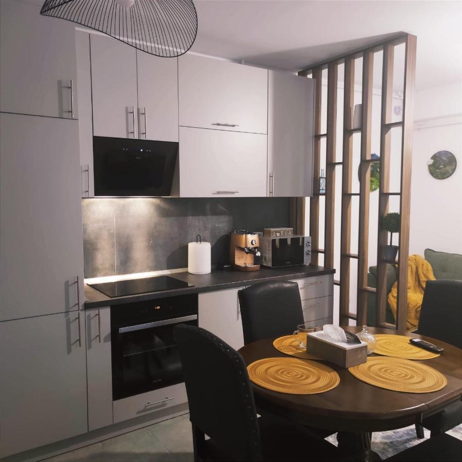 Cozy Studio Appartamento Braşov Esterno foto