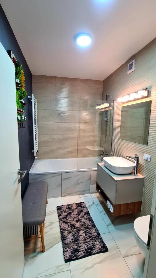 Cozy Studio Appartamento Braşov Esterno foto
