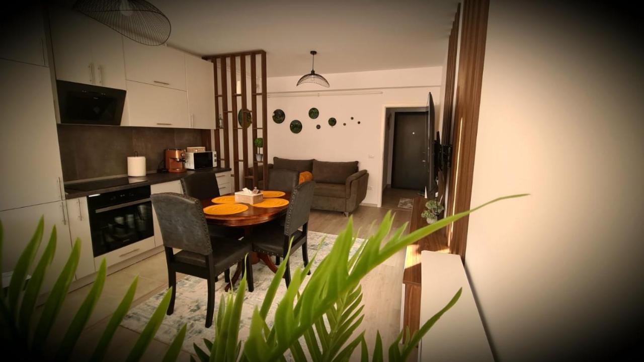 Cozy Studio Appartamento Braşov Esterno foto