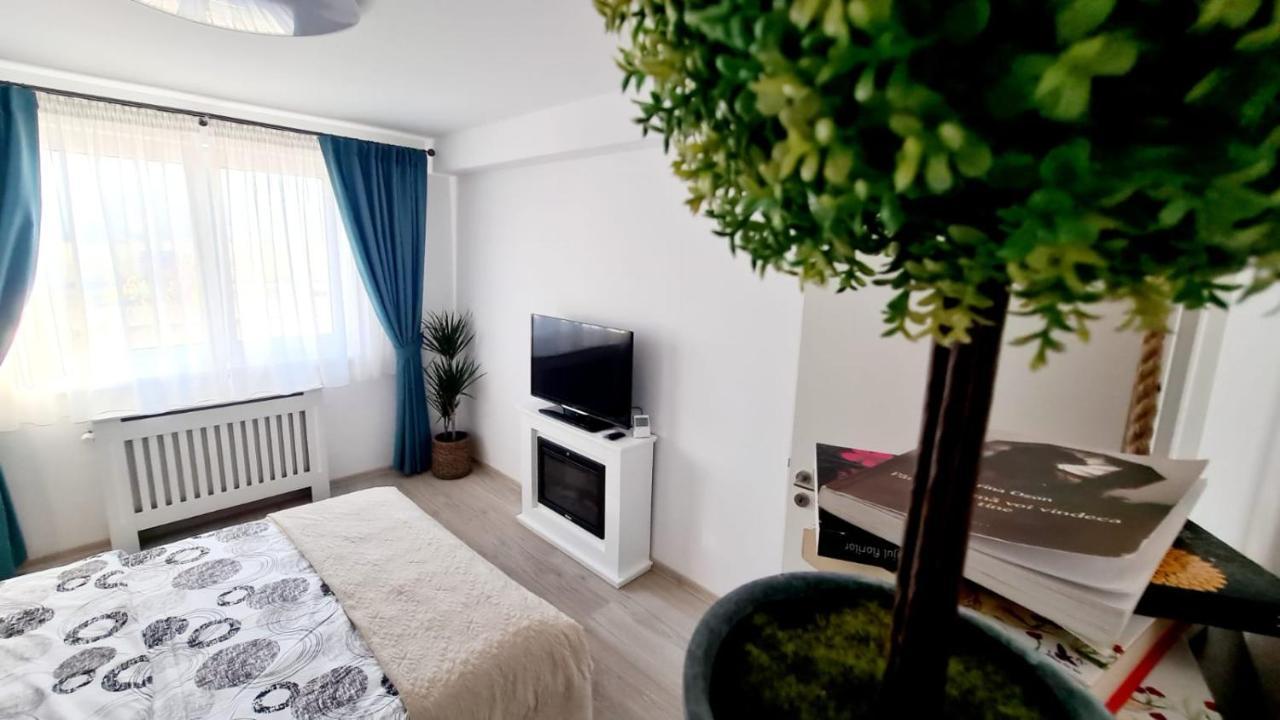 Cozy Studio Appartamento Braşov Esterno foto