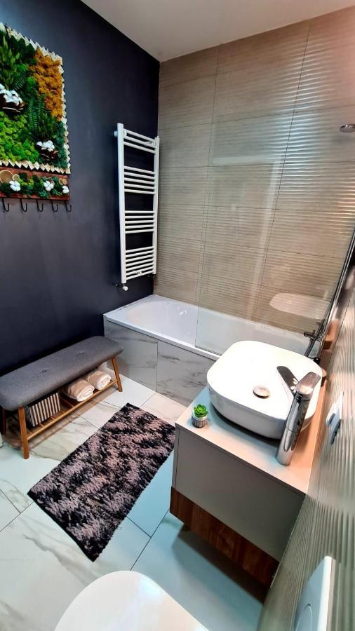 Cozy Studio Appartamento Braşov Esterno foto